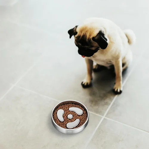Vista 3 de Cuenco para perro de alimentación lenta, 1 taza para cachorros pequeños, cuenco de rompecabezas de acero inoxidable 304 de doble capa, antiasfixia