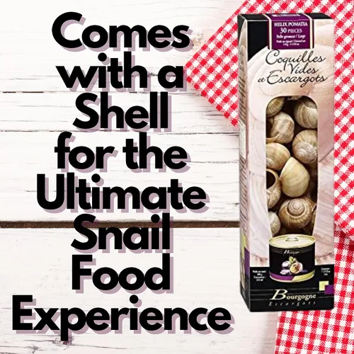 Vista 3 de Bourgogne Escargot s Juego de Escargot Francés Borgoña - 24 Conchas de Caracol y Caracol Sin Adjuntar