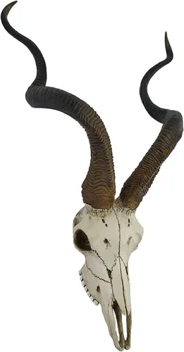 Vista 2 de Veronese Design Antílope africano Kudu colgante de pared de cráneo sintético, hecho de resina fundida en frío para una elegancia ética y detalles