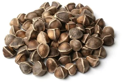Vista 9 de Moringa Seeds sin alas, 16 onzas / 1 libra, variedad PKM1, aperitivos comestibles, plantación, Moringa Oleifera, Malunggay, Semillas de Moringa