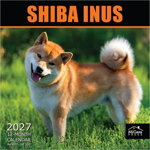 Vista 111 de MICASA PRESS Calendario de pared de Australian Shepherds Aussies 2027 02 - Pastores australianos