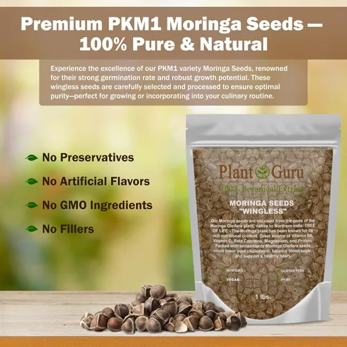 Vista 3 de Moringa Seeds sin alas, 16 onzas / 1 libra, variedad PKM1, aperitivos comestibles, plantación, Moringa Oleifera, Malunggay, Semillas de Moringa