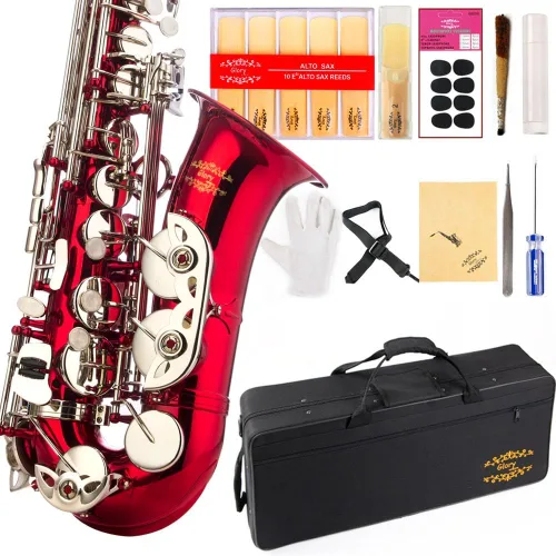 Vista 6 de Kit de cuidado para saxofón con 11 reeds, 8 para saxofón alto cojines, funda, Glory E Flat