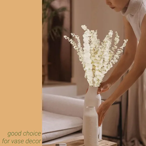 Vista 8 de 16 tallos de eucalipto conservados blanqueados, ramas de eucalipto conservadas de 16 pulgadas de color blanco crema natural, tallos de eucalipto