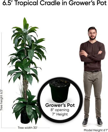 Vista 6 de Cypress & Alabaster Árbol artificial de cuna tropical de 6.5 pies hecho a mano con troncos de madera real de origen ético, hipoalergénico, 6.5 pies