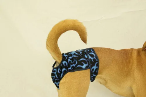 Vista 2 de Pañal lavable para perros, se adapta a perros pequeños, Blue Flames Azul Flames