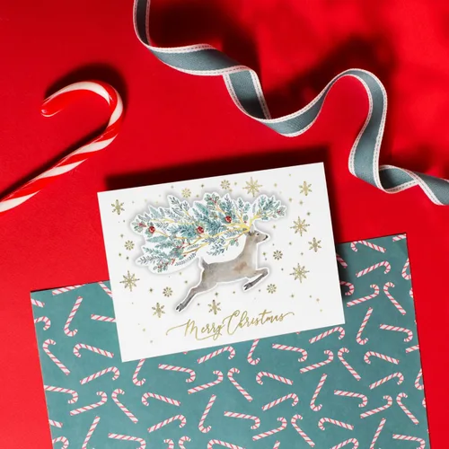 Vista 3 de Punch Studio - Tarjetas navideñas en caja con diseño dimensional de ciervo de invierno en verdes, con 12 tarjetas adornadas y sobres (45428), multi