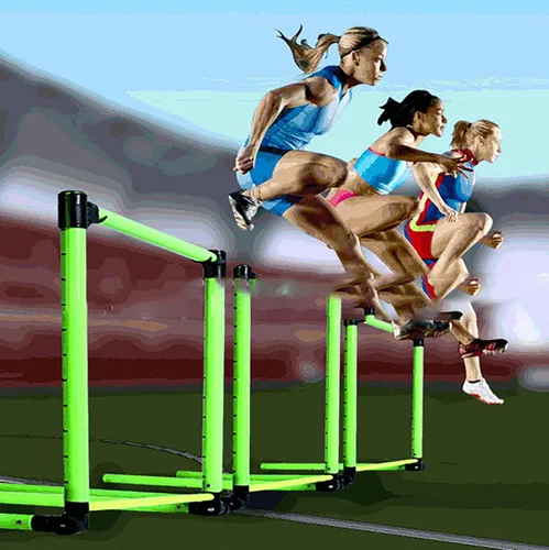 Vista 3 de Escala ajustable Agility obstáculos de entrenamiento de fútbol pista y campo de salto conjunto de barra de salto al aire libre desmontable perros