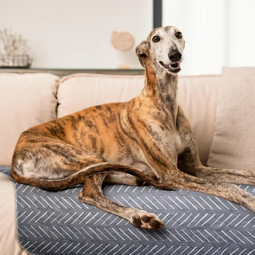 Vista 6 de NALALAS Almohadillas grandes lavables para orina para perros Almohadillas reutilizables, impermeables y súper absorbentes para cachorros