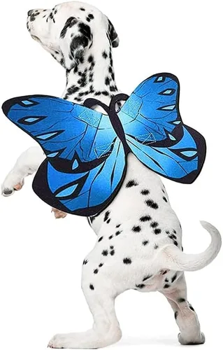 Vista 5 de Disfraz de alas de mariposa para perros y gatos pequeños a grandes - Halloween Rosa