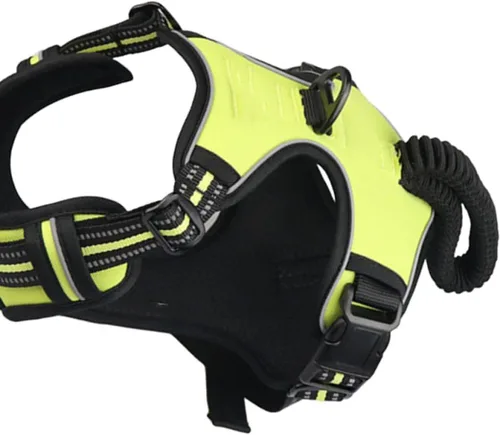Vista 9 de GANAZONO Pet Harness No Pull Reflective Vest Harness for Medium Large Dogs with Adjustable Chest Strap and Soft Padding XL Green