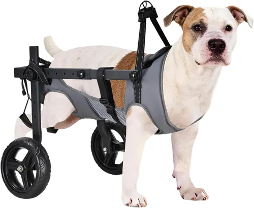 Vista 10 de Silla de ruedas para perros para patas traseras, altura/longitud/ancho ajustable, silla de ruedas resistente con ruedas que absorben los golpes