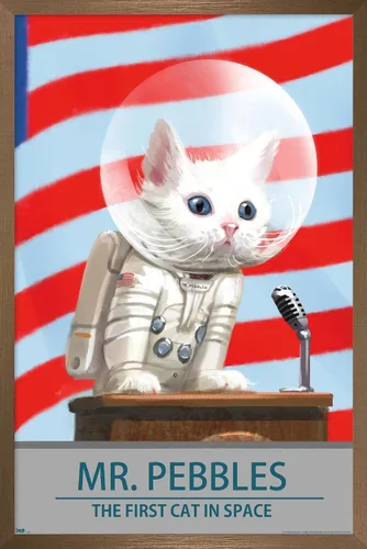 Vista 15 de Trends International Fallout 4 - Póster de pared de Mr. Pebbles - El primer gato en el espacio, 14.72 x 22.37 pulgadas, versión enmarcada de madera