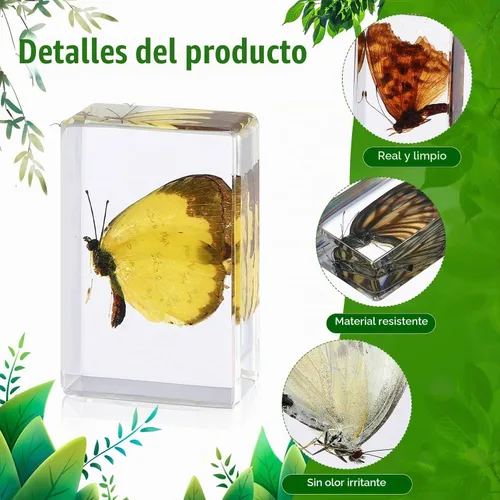 Vista 3 de 16 piezas de insectos mariposa en espécimen de resina, colección de bichos, pisapapeles, 16 estilos de espécimen real de bichos, kit de bichos