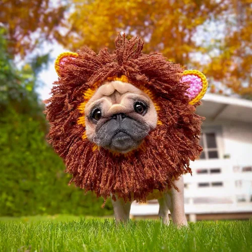 Vista 8 de Zoo Snoods Disfraz de león – Redecilla tejida para perro de melena para mascotas, cubierta cálida para el cuello para Halloween e invierno (S)