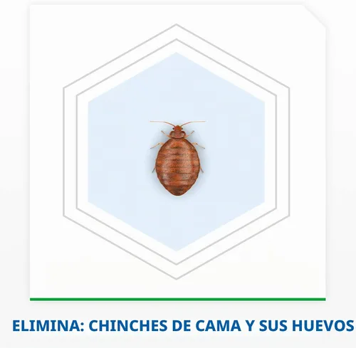 Vista 3 de Raid Max Bed Bug Protección extendida, mata las chinches durante 8 semanas en maderas y superficies laminadas, 22 onzas
