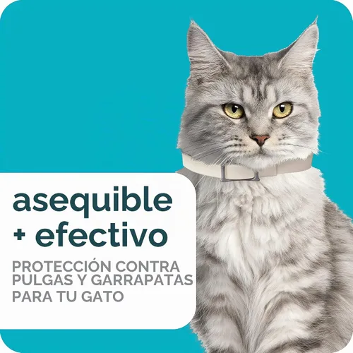 Vista 4 de Sergeant's Guardian PRO - Collar para pulgas y garrapatas para gatos, 7 meses, 1 paquete