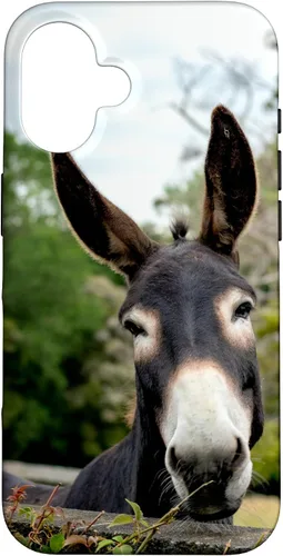 Vista 32 de Funda Donkey para iPhone 17