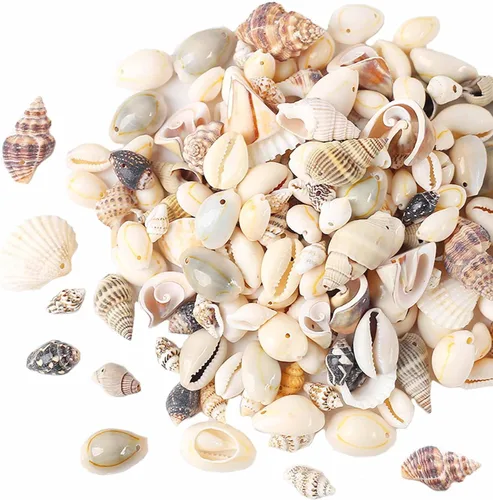 Vista 5 de Conchas de cauri pequeñas cuentas de caurí de concha de mar amarilla natural, conchas ovaladas, conchas de playa de verano, cuentas para pulseras