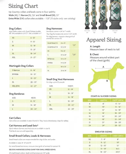 Vista 3 de Up Country Collar Best Dog Ever (5/8 pulgadas de ancho, XS (6-12 pulgadas)