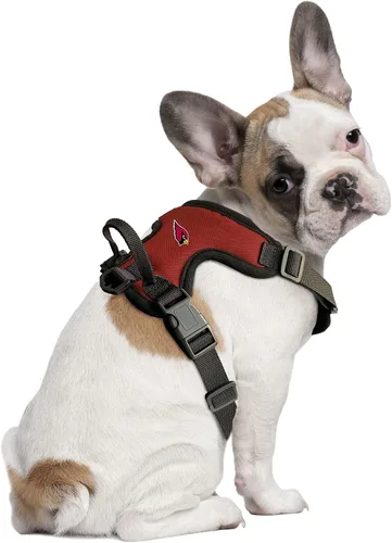 Vista 2 de Littlearth NFL Las Vegas Raiders Pet Front Clip Harness, Team Color, Small