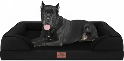 Vista 129 de Comfort Expression - Cama ortopédica para perros medianos, 28 x 19 pulgadas, cama impermeable y de apoyo de espuma con cojines removibles, sofá