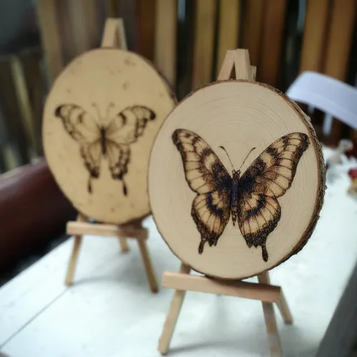 Vista 6 de 10 piezas de rebanadas de madera de paulownia natural de 6 a 7 pulgadas, rebanadas de madera para centros de mesa, decoración de mesa, madera