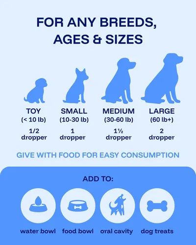 Vista 5 de Suplemento de longevidad para perros NAD+ y NMN - Salud de las articulaciones, vitalidad y envejecimiento saludable - Tecnología nanoliposomal