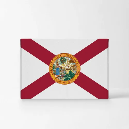 Vista 2 de Smile Art Design Lienzo impreso con la bandera del estado de Florida, capital del estado de los Estados Unidos, arte de pared con bandera del estado