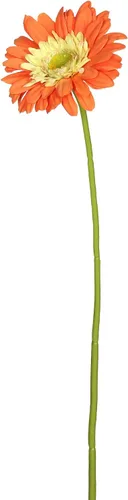 Vista 5 de Vickerman Tallo de margarita de gerbera amarilla artificial de 21 pulgadas, 6 por bolsa Amarillo