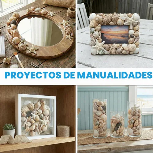 Vista 5 de Conjuntos de conchas – perfecto para manualidades, decoración del hogar de playa, bodas, relleno de jarrón y aulas.
