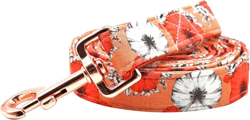 Vista 12 de Correa para perro, duradera y resistente con estampado de tiburón, correa resistente, cómoda correa acolchada para perros pequeños, medianos