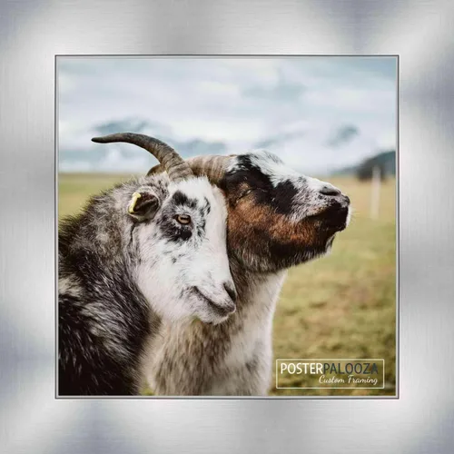 Vista 4 de Poster Palooza 5x5 Inch Contemporary Silver Complete Wood Square Picture Frame with UV Acrylic Plexiglass, Foam Board Backing & Hardware Included