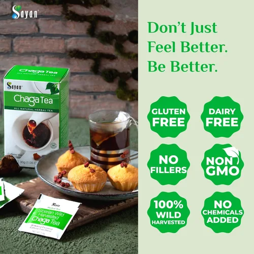 Vista 9 de Sayan Té de hongos chaga siberiano 1.05 onzas / 1.06 oz – 20 bolsas sin blanquear, antioxidante orgánico cosechado silvestre sin cafeína. Mezcla
