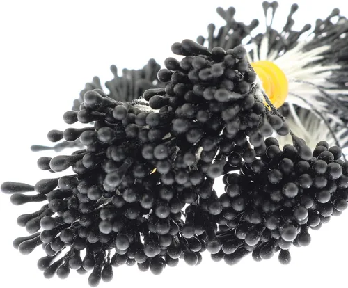 Vista 4 de Alrededor de 400 estambres florales perlados artificiales, estambres florales para hacer flores, decoración de álbumes de recortes, negro mate