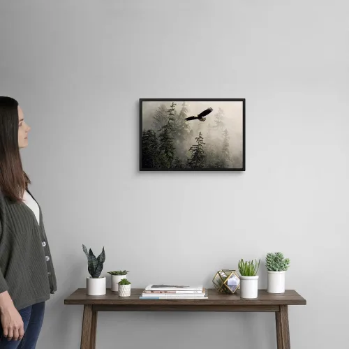 Vista 2 de CANVAS ON DEMAND Lienzo decorativo para pared, diseño de águila calva volando a través de brumoso Tongass Nat Forest Southeast Alaska por John Hyde