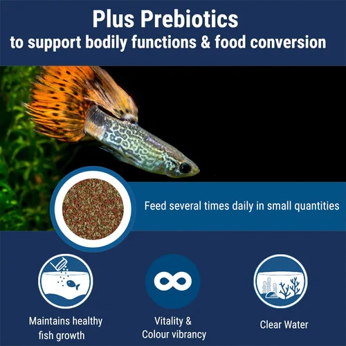 Vista 3 de TetraMin Alimento en escamas tropicales nutricionalmente equilibrado para peces tropicales, 7.06 onzas (paquete de 1)