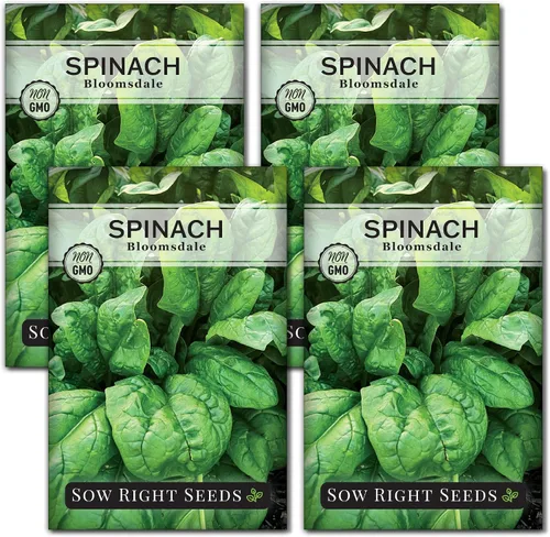Vista 9 de Sow Right Seeds - Semillas de espinaca Bloomsdale para plantar - Ideal para jardines al aire libre o interior - Variedad de reliquia sin OMG