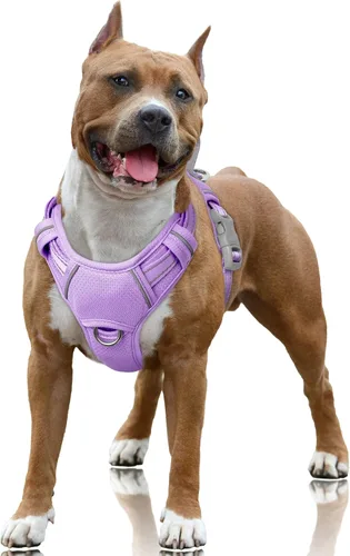 Vista 41 de BARKBAY Arnés para Perro Sin Tirones Talla Grande Arnés Reflectante para Perro con Clip Frontal y Asa de Control Fácil para Caminar Entrenar Correr