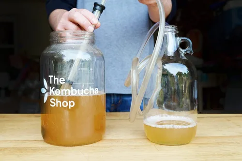 Vista 2 de The Kombucha Shop - 64 oz. Gruñidor de medio galón con tapa hermética