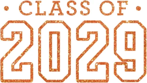 Vista 20 de Calcomanía para planchar de clase 2029, parche de camiseta de clase superior, transferencia de calor, calcomanía gráfica de camiseta HTV