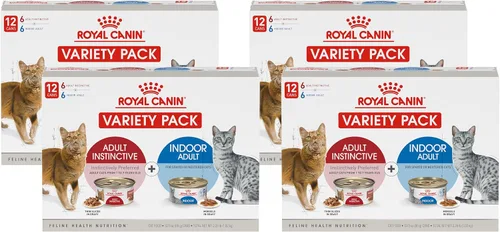 Vista 8 de Royal Canin Feline Health Nutrition - Rebanadas finas instintivas en salsa y bocados en salsa, paquete variado de comida para gatos, 3 onzas