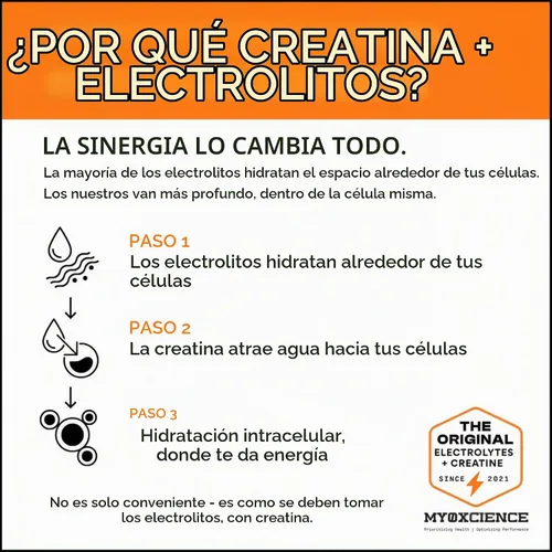 Vista 6 de MYOXCIENCE Electrolyte STIX Polvo de electrolito de creatina Recuperación del ejercicio y el desarrollo muscular con sal real