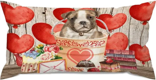 Vista 26 de Fundas de almohada lumbar con textura de madera rústica para perro en cubo, diseño de corazón rojo para el día de San Valentín, fundas de almohada