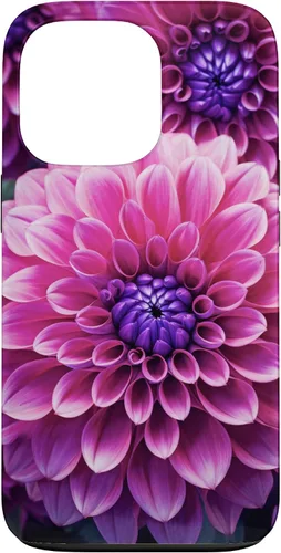 Vista 10 de Dahlia Flower Floral Nature Garden Funda con diseño granate rosa y morado para iPhone 16