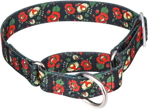 Vista 7 de Collar de perro de nailon resistente, collar ajustable de martingala para perros para caminar y entrenamiento para perros machos y hembras perros