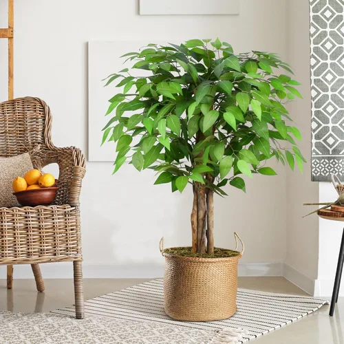 Vista 6 de Árboles artificiales de ficus de 3 pies con troncos naturales curvados, árbol exuberante de 36" de altura, árbol falso de ficus realista en verde