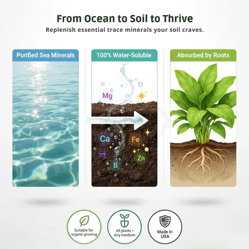 Vista 3 de Fertilizante mineral Ocean Magic Sea por GS Plant Foods (1 galón) – Concentrado líquido para mejorar la salud mineral del suelo – Minerales marinos