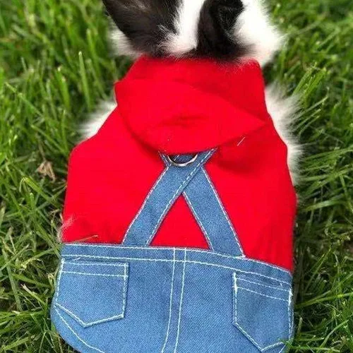 Vista 2 de Disfraz para mascota pequeña, ropa de conejo, sudadera con capucha de hurón, chaleco de conejo, arnés y correa, conjunto de gatito, suéter