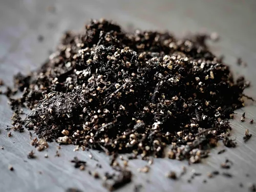 Vista 7 de MycoHaus Kit de cultivo de hongos todo en uno con puertos de inyección Bolsas de cultivo de interior para hongos Suministros de cultivo